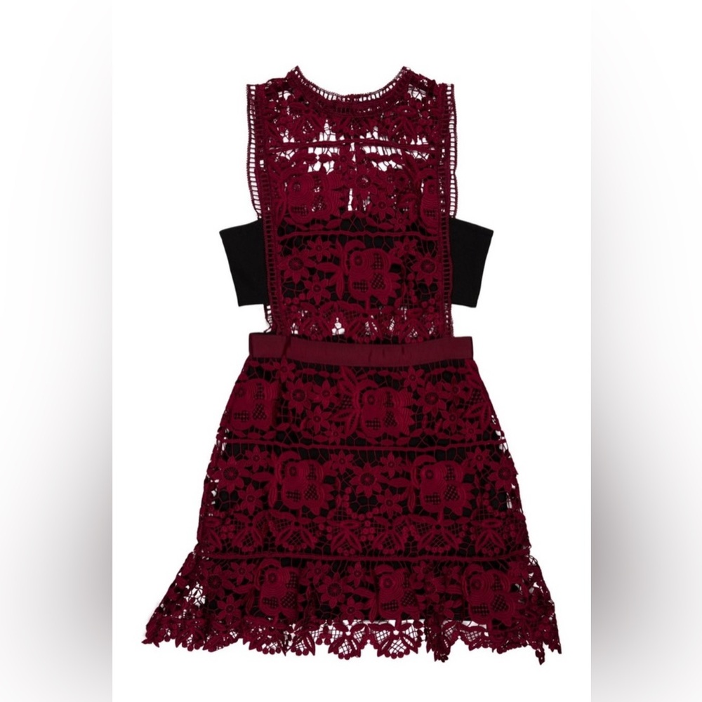 Self-Portrait Lace Mini Dress